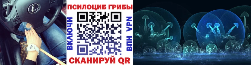 Псилоцибиновые грибы Psilocybe даркнет клад Лыткарино