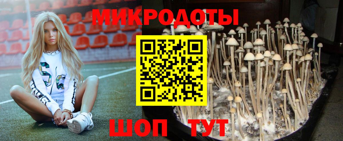 Лыткарино  Псилоцибиновые грибы ЛСД  Вход с VPN 