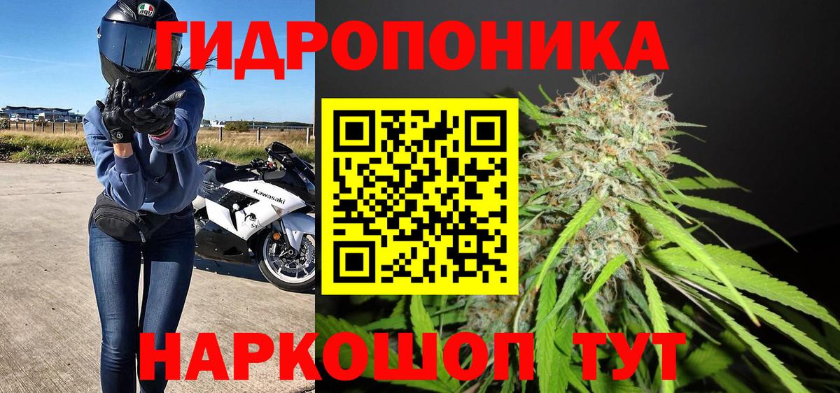 Лыткарино  Канабис конопля  Бошки марихуана OG Kush  Вход с VPN 